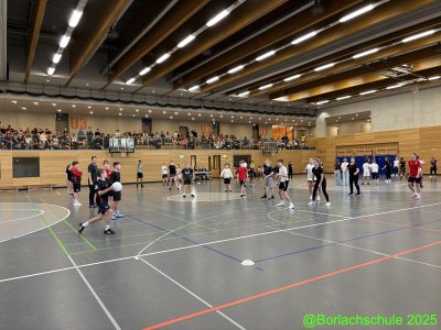 Zweifelderball_2509.jpg
